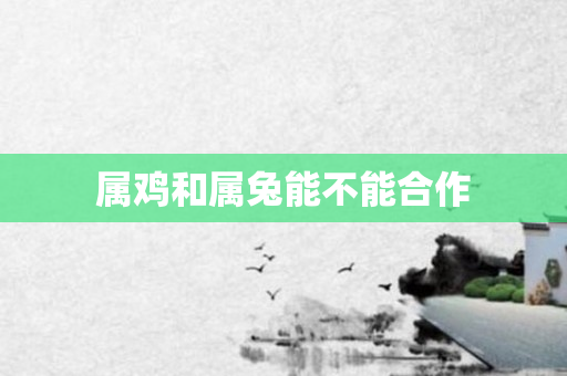 属鸡和属兔能不能合作
