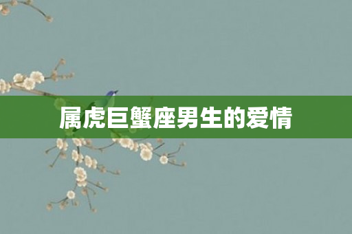 属虎巨蟹座男生的爱情
