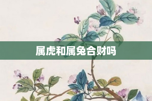 属虎和属兔合财吗
