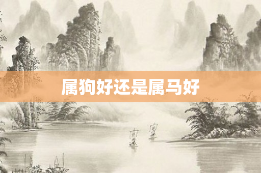 属狗好还是属马好