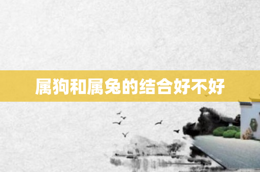 属狗和属兔的结合好不好