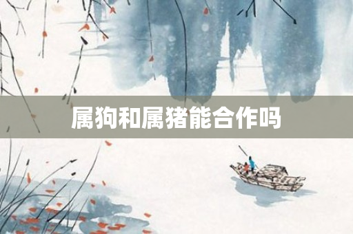 属狗和属猪能合作吗