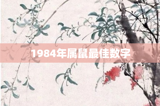 1984年属鼠更佳数字