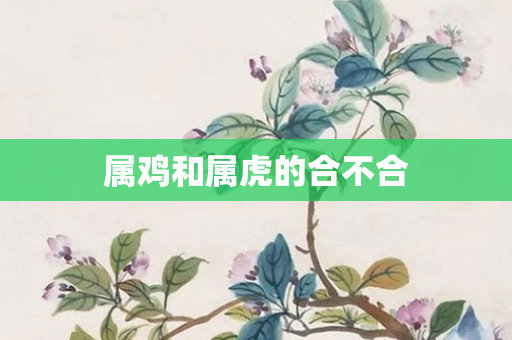 属鸡和属虎的合不合