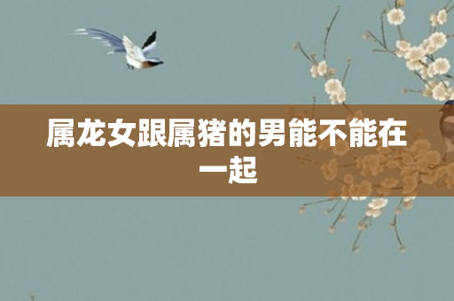 属龙女跟属猪的男能不能在一起