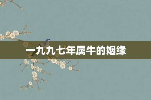 一九九七年属牛的姻缘