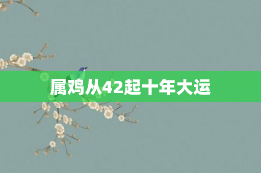 属鸡从42起十年大运