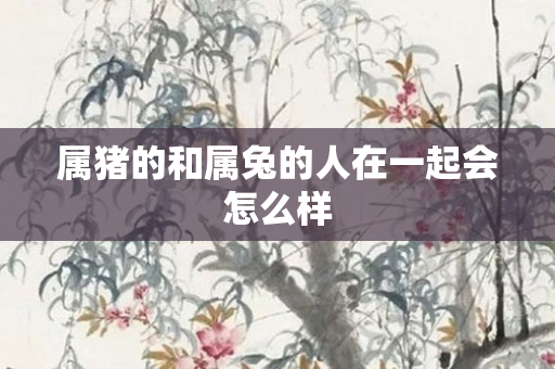 属猪的和属兔的人在一起会怎么样