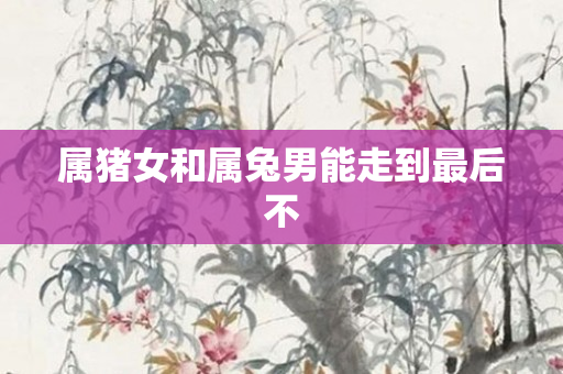 属猪女和属兔男能走到最后不