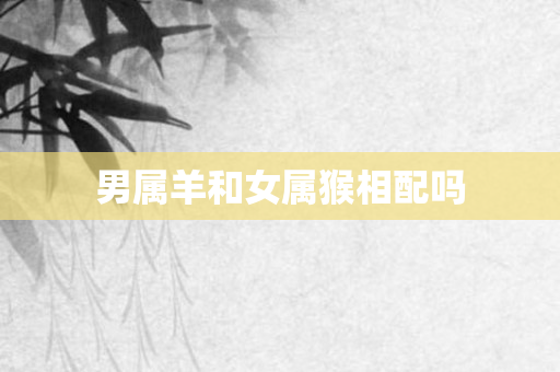 男属羊和女属猴相配吗
