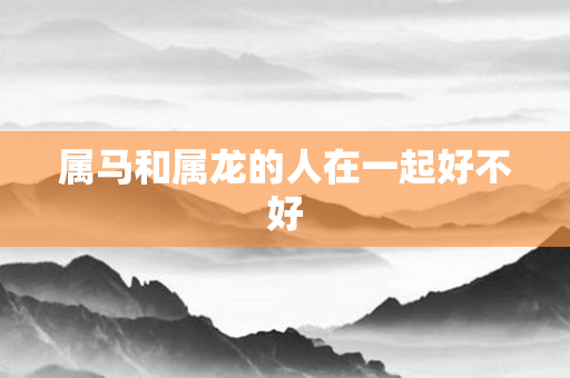 属马和属龙的人在一起好不好