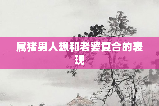 属猪男人想和老婆复合的表现