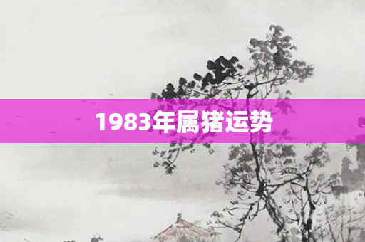 1983年属猪运势