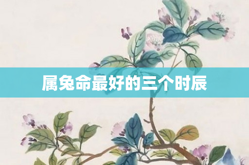 属兔命更好的三个时辰