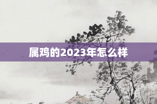 属鸡的2023年怎么样