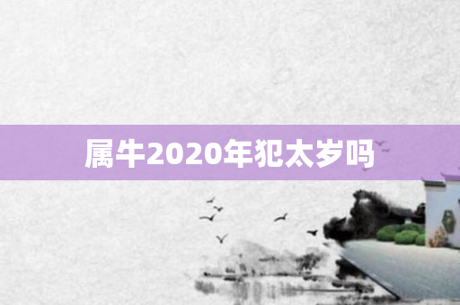 属牛2020年犯太岁吗