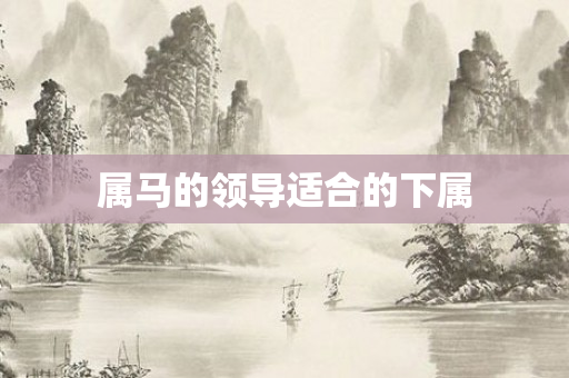 属马的领导适合的下属