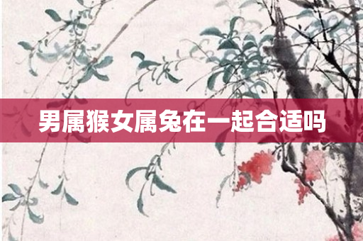男属猴女属兔在一起合适吗
