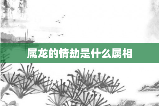 属龙的情劫是什么属相