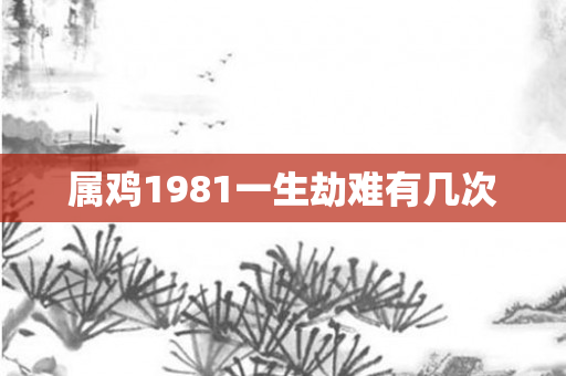 属鸡1981一生劫难有几次