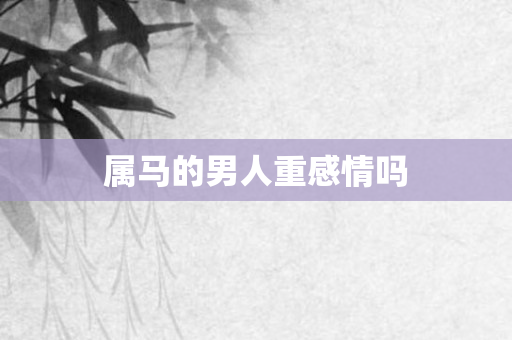 属马的男人重感情吗
