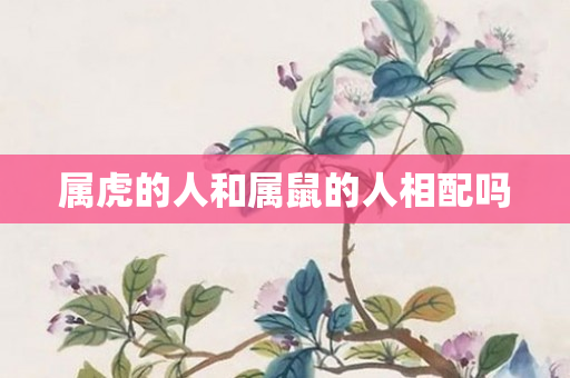 属虎的人和属鼠的人相配吗