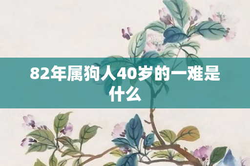 82年属狗人40岁的一难是什么
