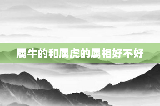 属牛的和属虎的属相好不好