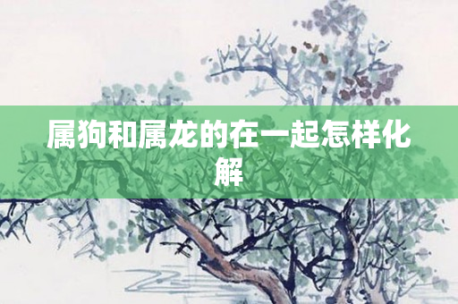 属狗和属龙的在一起怎样化解