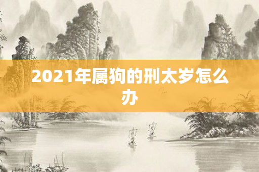 2021年属狗的刑太岁怎么办