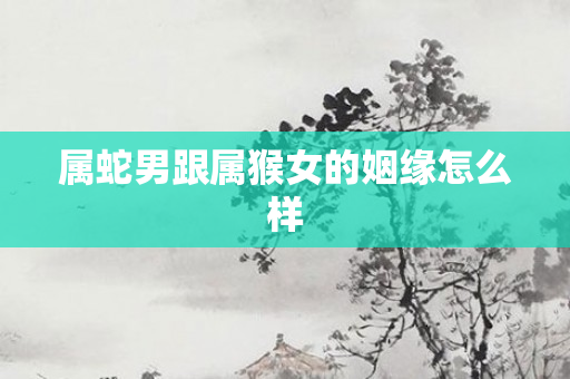 属蛇男跟属猴女的姻缘怎么样