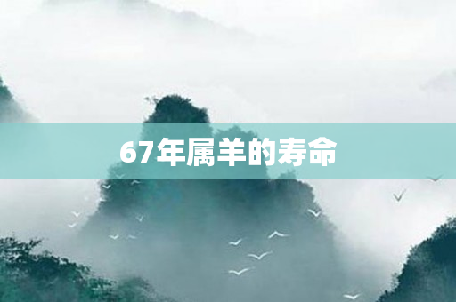 67年属羊的寿命