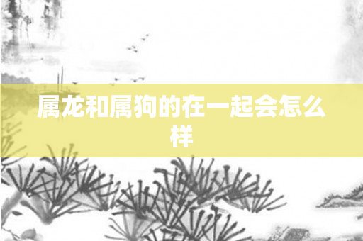 属龙和属狗的在一起会怎么样