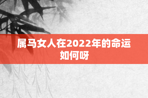 属马女人在2022年的命运如何呀