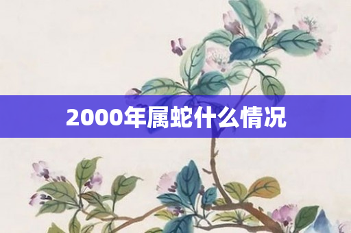 2000年属蛇什么情况