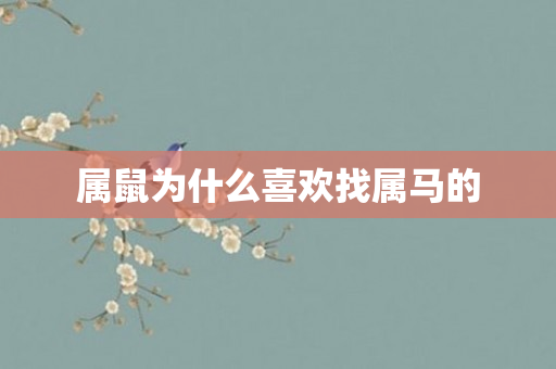 属鼠为什么喜欢找属马的