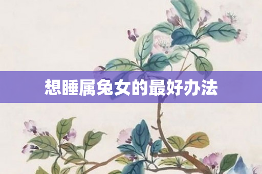 想睡属兔女的更好办法
