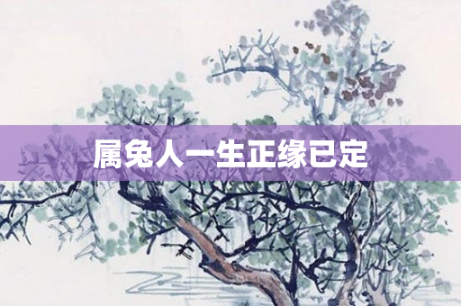 属兔人一生正缘已定