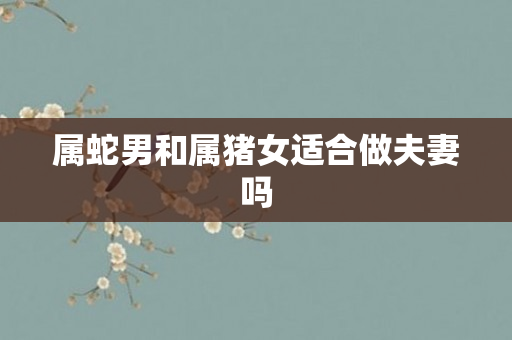 属蛇男和属猪女适合做夫妻吗