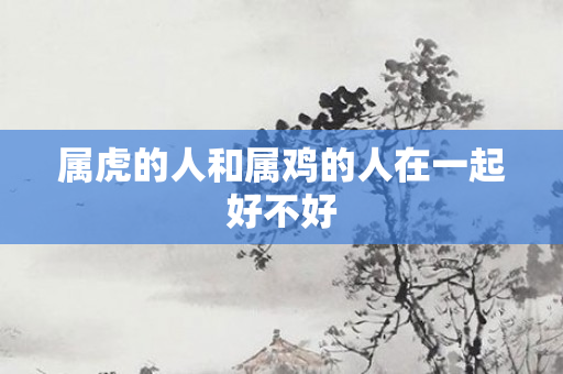 属虎的人和属鸡的人在一起好不好