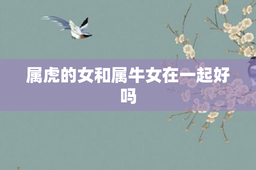 属虎的女和属牛女在一起好吗