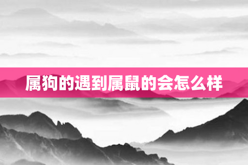属狗的遇到属鼠的会怎么样