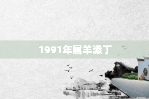 1991年属羊添丁