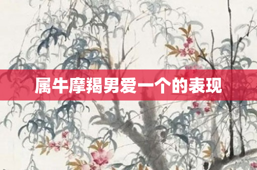 属牛摩羯男爱一个的表现