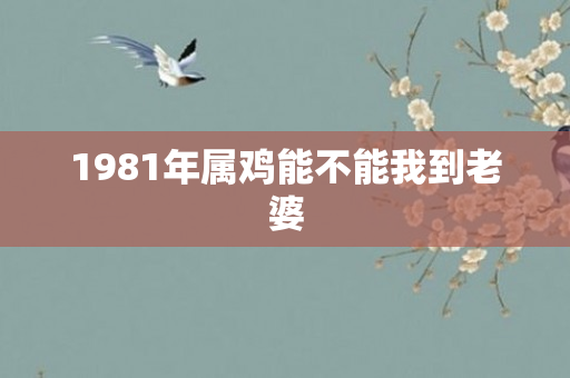 1981年属鸡能不能我到老婆