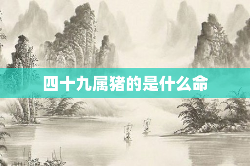 四十九属猪的是什么命