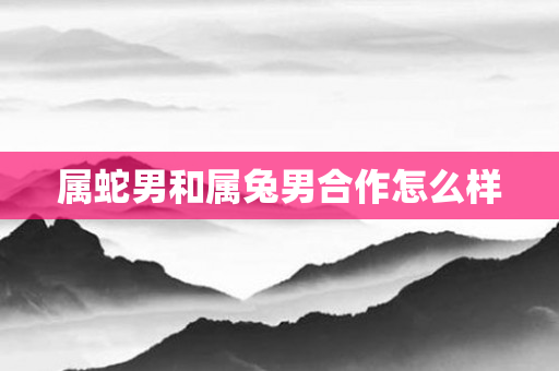 属蛇男和属兔男合作怎么样