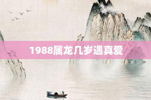 1988属龙几岁遇真爱