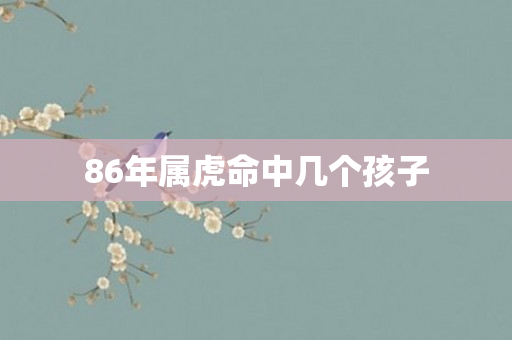86年属虎命中几个孩子