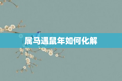 属马遇鼠年如何化解